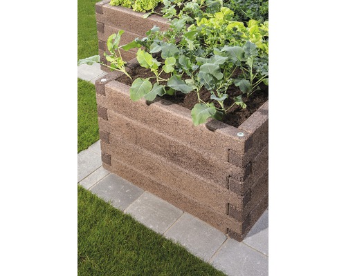 Hochbeet aus Holz mit Gemüsepflanzen im Garten.