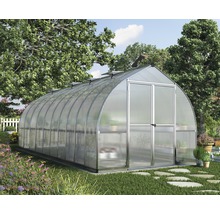 Gewächshaus im Garten mit Pflanzen