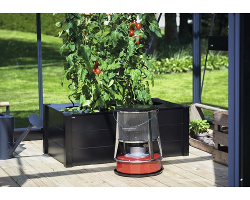 Gewächshaus-Szene mit Tomatenpflanze im Pflanzkasten und einem Heizgerät