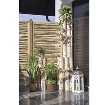 Dekorative Gartengestaltung mit Holzelementen, Pflanzen und einer Laterne.