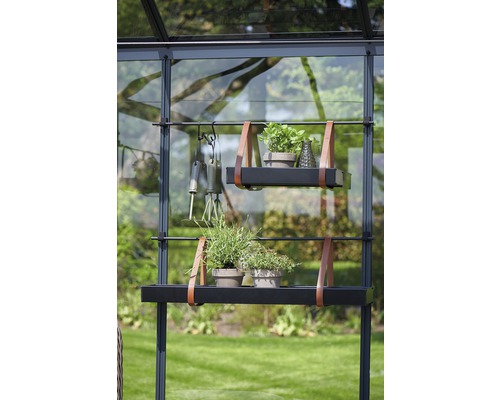 Gewächshausregal mit Pflanzen und Gartengeräten
