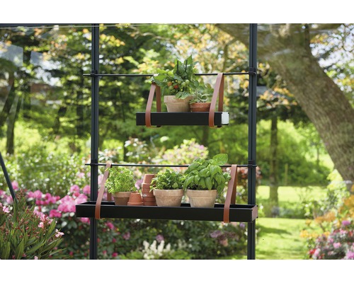 Gartenregal mit Pflanzen und Kräutern in Töpfen