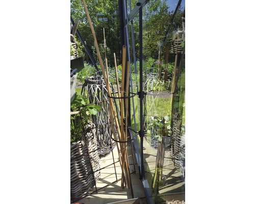 Szene im Gewächshaus mit Bambusstäben und Weidenkörben