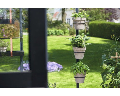 Pflanzen in Töpfen an einer Pflanzenstütze im Garten