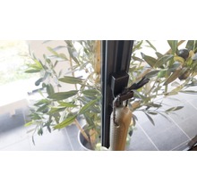 Fenster mit Fenstergriff und Dekorationsgegenstand