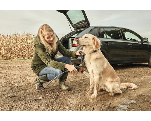Frau wäscht Hund mit Gartenschlauch vor Auto