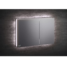 Toilettenspülplatte mit zwei Tasten und Alca Logo