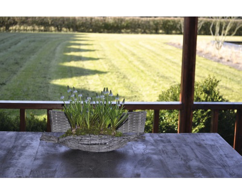 Dekoration mit blühenden Zwiebelblumen in einem Korb auf einem Gartentisch