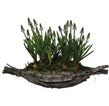 Traubenhyazinthen im Holzgefäß