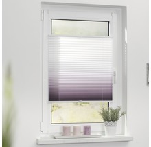 Fenster mit Plissee-Rollo für den Innenbereich