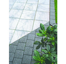 Gartenweg mit hellen und dunklen Pflastersteinen und Pflanzen