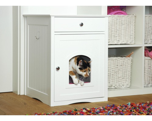 Katze in Katzentoilettenmöbeln mit Schublade