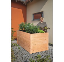 Hochbeet aus Holz mit bepflanztem Gemüse und einem Mann