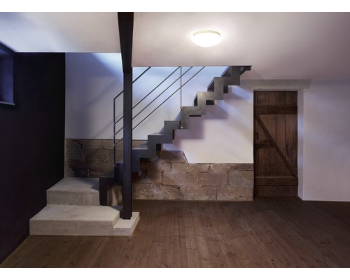 LED Deckenleuchte Steinel IP44 9,3W 918 lm 3000 K warmweiß Ø 255 mm RS 16 LED Glas weiß LED Deckenleuchte Steinel IP44 9,3W 918 lm 3000 K warmweiß Ø 255 mm RS 16 LED Glas weiß