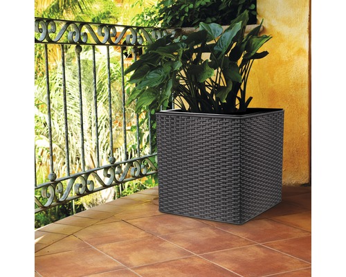 Dekorativer Pflanzkübel mit Pflanzen auf einer Terrasse.