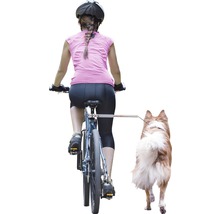 Frau fährt Fahrrad mit Hundeanhänger