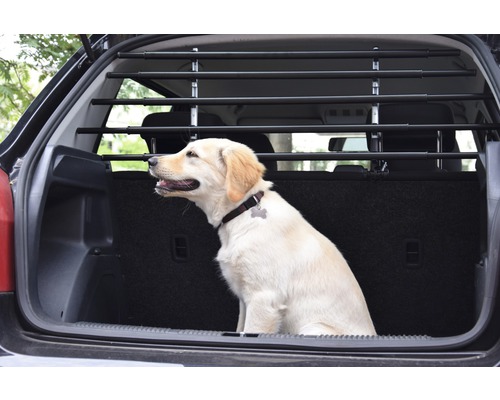 Heller Hund sitzt im Kofferraum mit montiertem Hundegitter