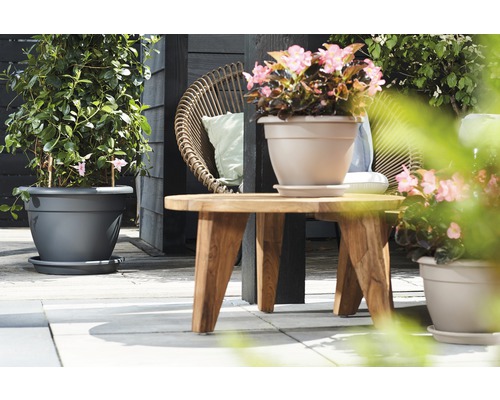 Szene mit Pflanzen in Pflanzgefäßen und Holztisch auf einer Terrasse