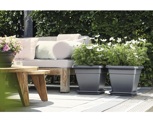 Zwei quadratische Pflanzkübel aus Kunststoff mit Blumen auf einer Terrasse