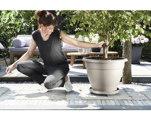 Frau hockt neben großem Pflanzgefäß mit Baum im Garten