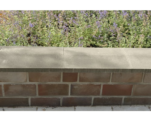 Mauer mit Ziegelsteinen und Betonabdeckung, bepflanzt mit blühenden Pflanzen