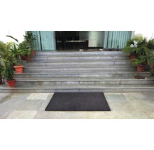Eingangsbereich mit Treppe, Pflanzen und Fußmatte