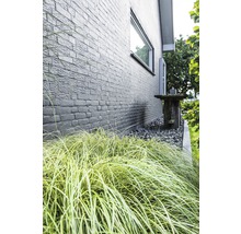 Außenaufnahme eines Hauses mit Ziegelmauerwerk und dekorativem Gras im Vordergrund