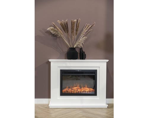 Dekorativer Elektrokamin mit weißer Umrandung, mit Pflanzgefäß und Dekoration auf der Oberseite.