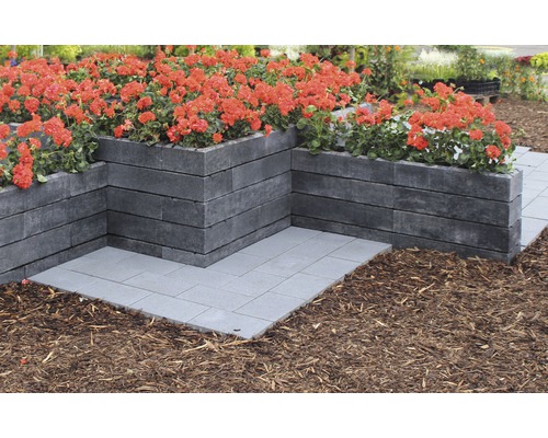 Erhöhter Garten mit grauen Pflanzsteinen und Bodenplatten, bepflanzt mit roten Blumen.