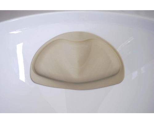 Urinaleinlage in einem Urinal