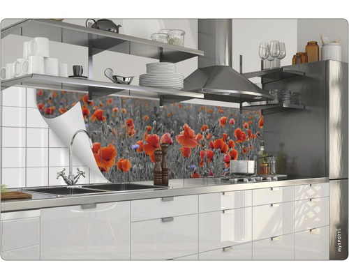 Küchenrückwand mit Mohnblumenmotiv hinter einer Spüle in einer modernen Küche.