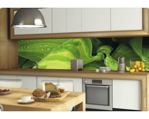 Küchenszene mit Küchenrückwand mit Pflanzenmotiv, Küchenutensilien und Lebensmitteln auf einer Arbeitsplatte.