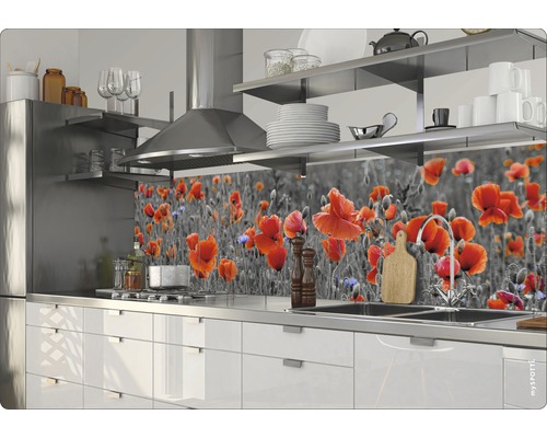 Küchenszene mit weißen Schränken und Spritzschutz mit Mohnblumenmuster
