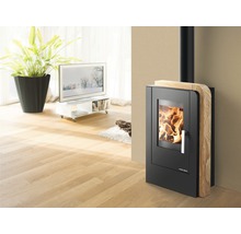 Wohnzimmer mit Kaminofen, Fernseher und Zimmerpflanze