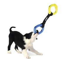 Ein Welpe spielt mit einem Zerrspielzeug für Hunde.