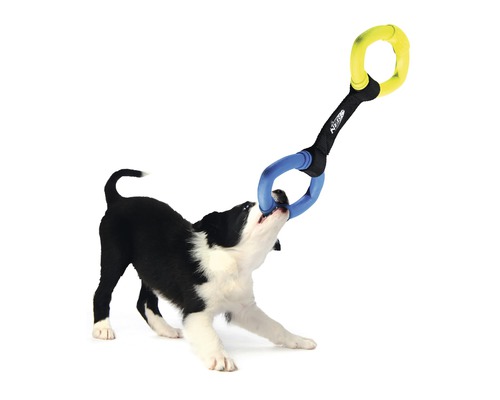 Ein Welpe spielt mit einem Zerrspielzeug für Hunde.