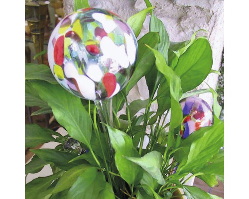 Bewässerungskugeln aus Glas für Zimmerpflanzen