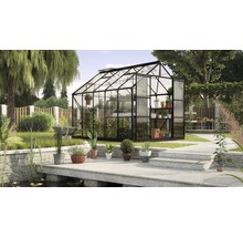 Gewächshaus im Garten mit Pflanzen und Gartenzubehör