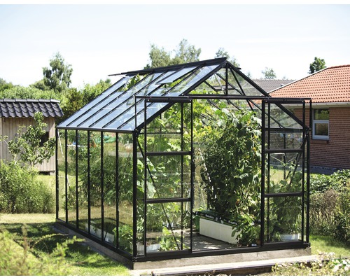 Gewächshaus Vitavia Uranus 9900 Einscheibensicherheitsglas 3 mm 257x383 cm schwarz Gewächshaus mit Pflanzen im Garten