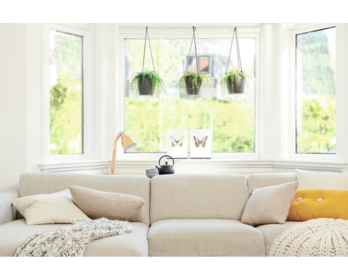 Helles Wohnzimmer mit Ecksofa, Fenstern und hängenden Zimmerpflanzen