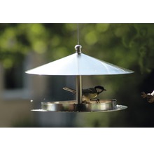 Vogel frisst aus einem hängenden Futterhaus aus Metall