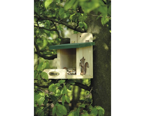 Holzfutterhaus für Eichhörnchen im Baum mit dem Debar Logo