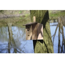 Beobachtungsnistkasten Einblick 17x23x39 cm braun-thumb-2 Beobachtungsnistkasten Einblick 17x23x39 cm braun-thumb-2
