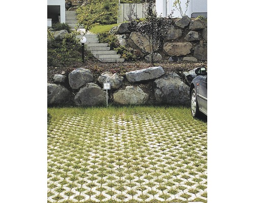 Szene mit Rasengittersteinen und angrenzendem Garten