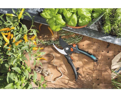 Gartenszene mit Kräutern, Gemüsepflanzen und einer Gartenschere auf einem Holzbrett