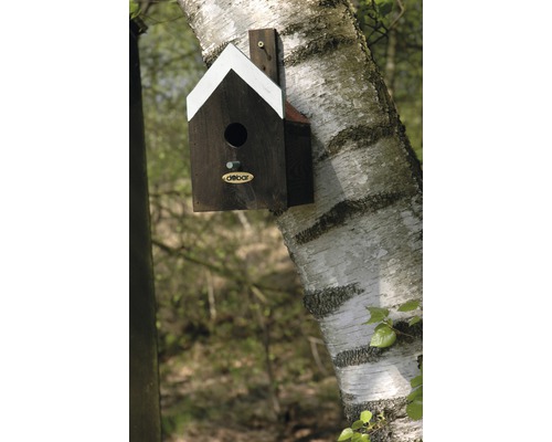 Vogelhaus aus Holz am Baumstamm