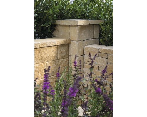 Gartenmauer aus Stein mit Pflanzen