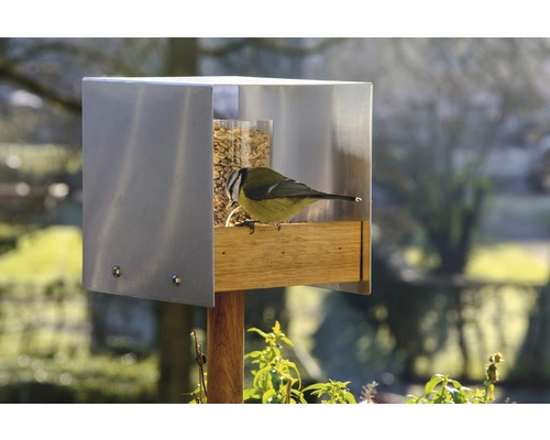 Vogelhaus aus Edelstahl mit Futter und Blaumeise