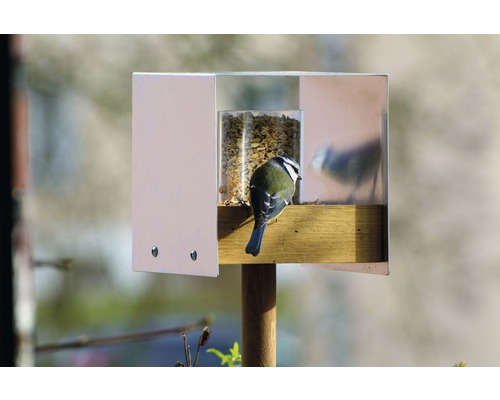 Vogelhäuschen mit Futter und Blaumeise