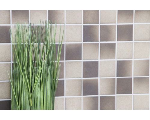 Dekorative grüne Gräser vor einer Wand aus Keramikmosaikfliesen